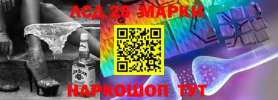 МДПВ Новозыбков