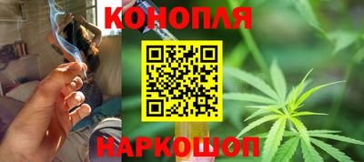 МДПВ Новозыбков