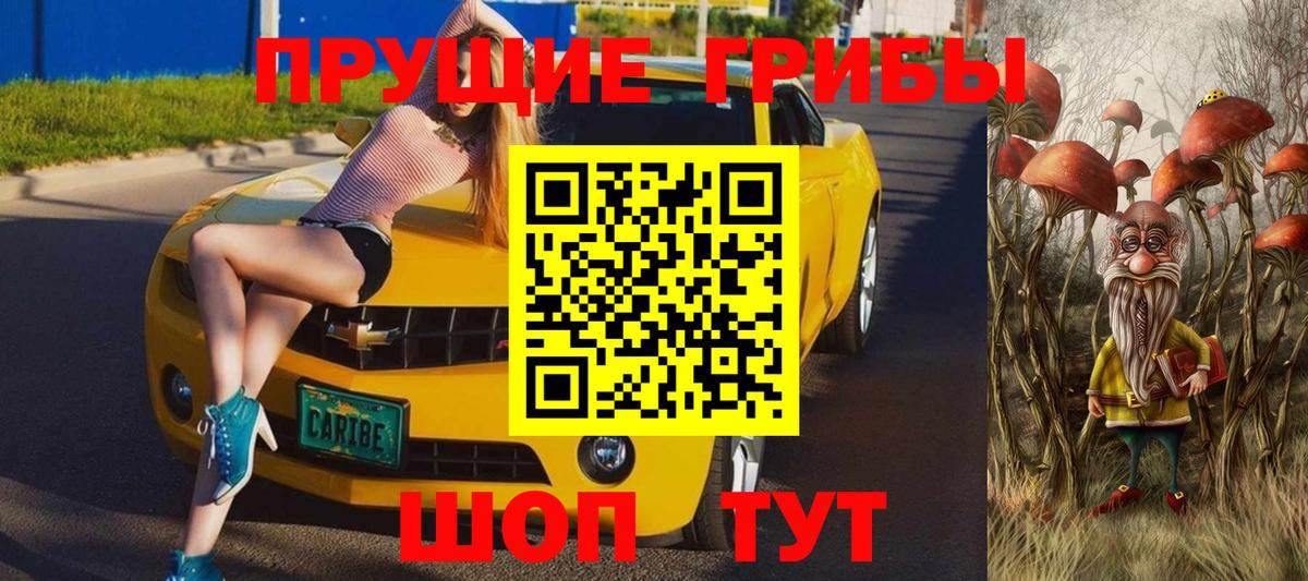 Тихорецк  Галлюциногенные грибы GOLDEN TEACHER  где найти наркотики  Вход с VPN  Галлюциногенные грибы мицелий 